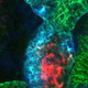 Illustration for article titled Now We Can Grow Kidney Structures from Stem Cells